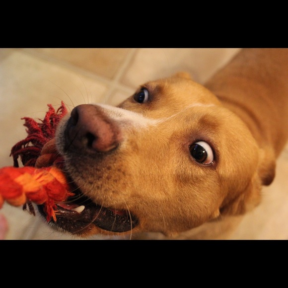 Meet your Posher, Keith - Picture 3 of 4